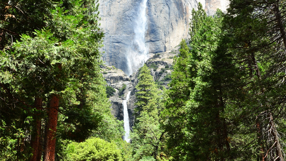 Yosemite Falls in spring. Photo: Mike McBey / Wikimedia Commons (CC BY 2.0).
